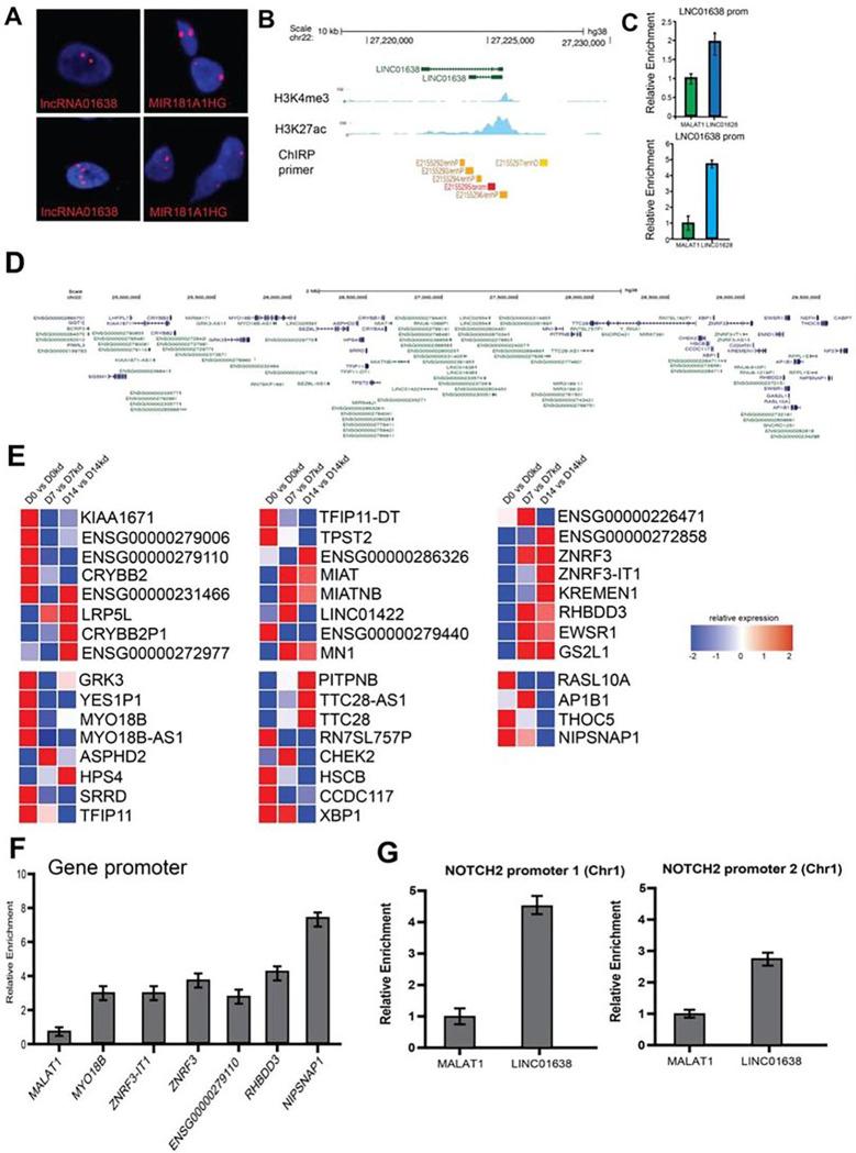 https://cdn.ncbi.nlm.nih.gov/pmc/blobs/90c0/10491330/cd8de30544b7/nihpp-rs3210911v1-f0005.jpg