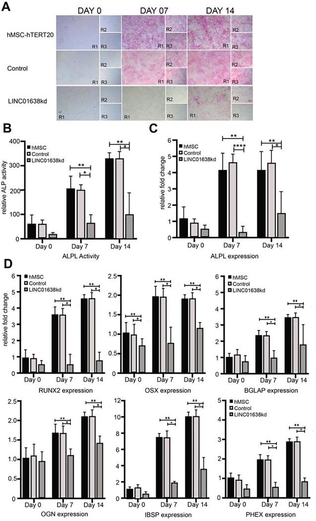 https://cdn.ncbi.nlm.nih.gov/pmc/blobs/90c0/10491330/fbcc17ea772b/nihpp-rs3210911v1-f0004.jpg