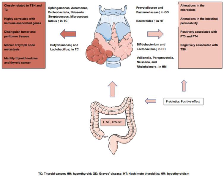 https://cdn.ncbi.nlm.nih.gov/pmc/blobs/90c0/9179244/69754829d077/cancers-14-02656-g002.jpg