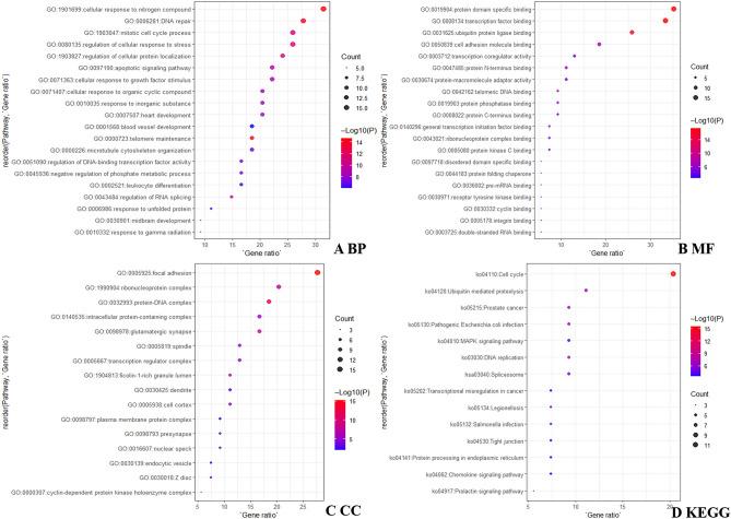 https://cdn.ncbi.nlm.nih.gov/pmc/blobs/90c3/10169761/57cd5b81003f/41598_2023_33156_Fig3_HTML.jpg