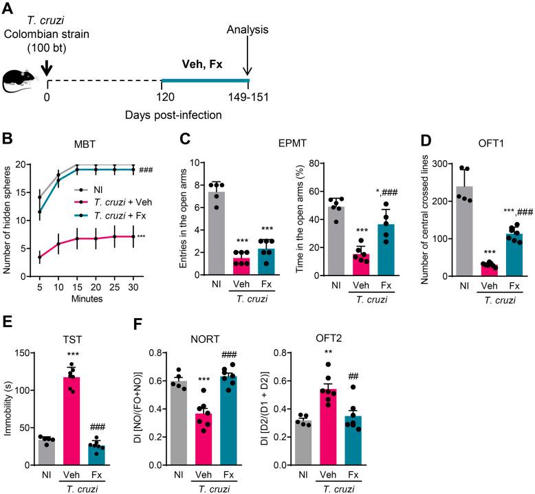 https://cdn.ncbi.nlm.nih.gov/pmc/blobs/90c3/11149870/28a3593abc70/pntd.0012199.g002.jpg