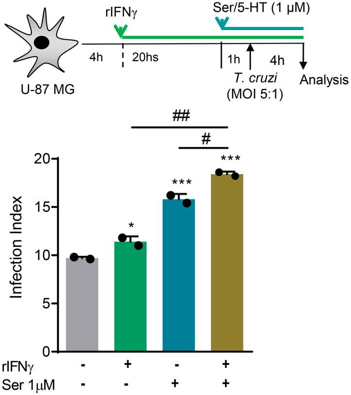 https://cdn.ncbi.nlm.nih.gov/pmc/blobs/90c3/11149870/62041861a9a0/pntd.0012199.g007.jpg