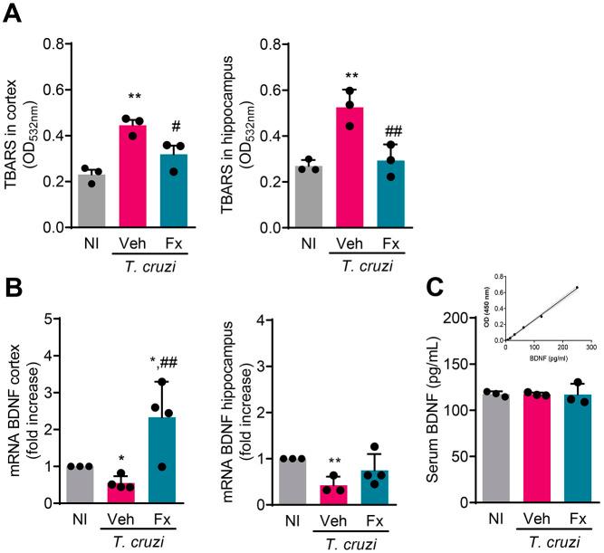 https://cdn.ncbi.nlm.nih.gov/pmc/blobs/90c3/11149870/c011a20ab7da/pntd.0012199.g004.jpg