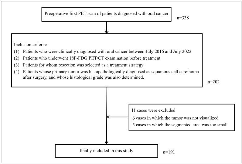 https://cdn.ncbi.nlm.nih.gov/pmc/blobs/90c3/11273837/449b213adcae/biomedicines-12-01411-g002.jpg