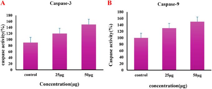 https://cdn.ncbi.nlm.nih.gov/pmc/blobs/90c4/11920177/14ebfd758dbd/fchem-13-1521089-g010.jpg