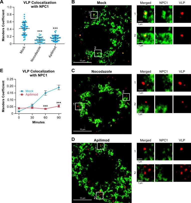 https://cdn.ncbi.nlm.nih.gov/pmc/blobs/90c5/5402990/20b1caa088f5/pntd.0005540.g005.jpg