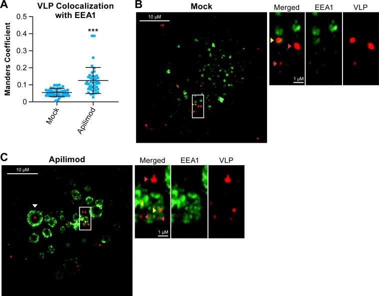 https://cdn.ncbi.nlm.nih.gov/pmc/blobs/90c5/5402990/3bbb51051000/pntd.0005540.g006.jpg