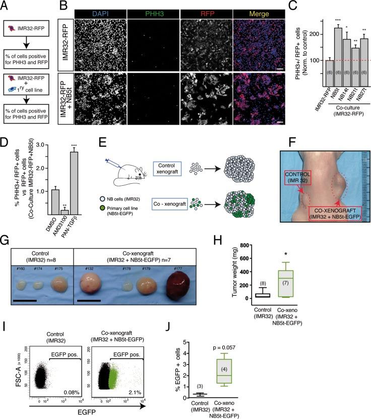 https://cdn.ncbi.nlm.nih.gov/pmc/blobs/90c6/5685708/df944e217401/oncotarget-08-89775-g003.jpg