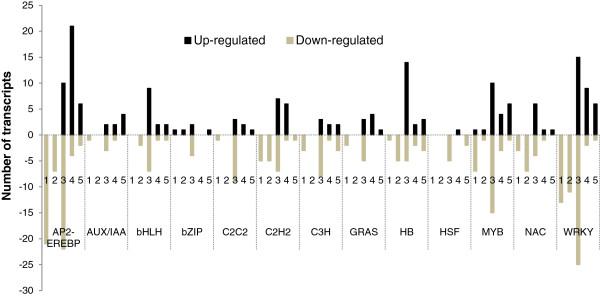https://cdn.ncbi.nlm.nih.gov/pmc/blobs/90c7/3556503/e4e8b944d1be/1471-2164-13-624-2.jpg
