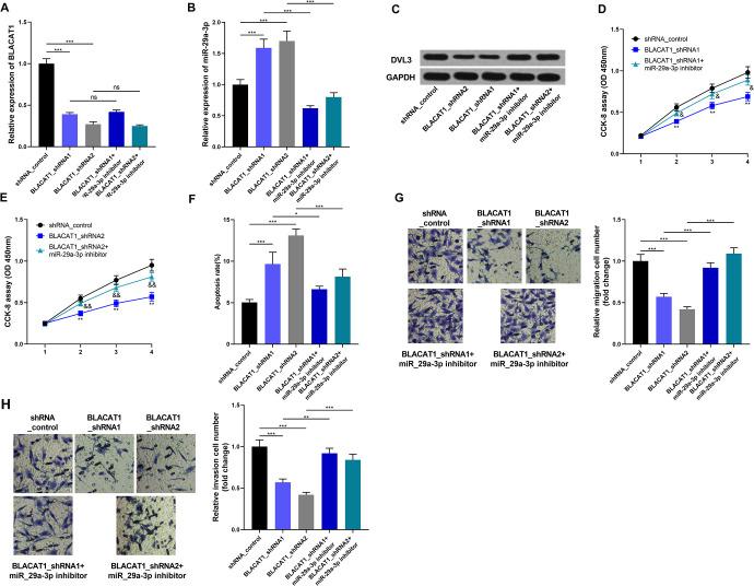 https://cdn.ncbi.nlm.nih.gov/pmc/blobs/90c9/7923982/63574fcb9735/10.1177_1533033820972342-fig6.jpg