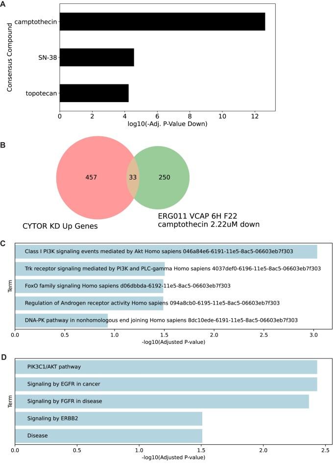 https://cdn.ncbi.nlm.nih.gov/pmc/blobs/90cc/12230732/20e872110ff4/gkaf373fig4.jpg