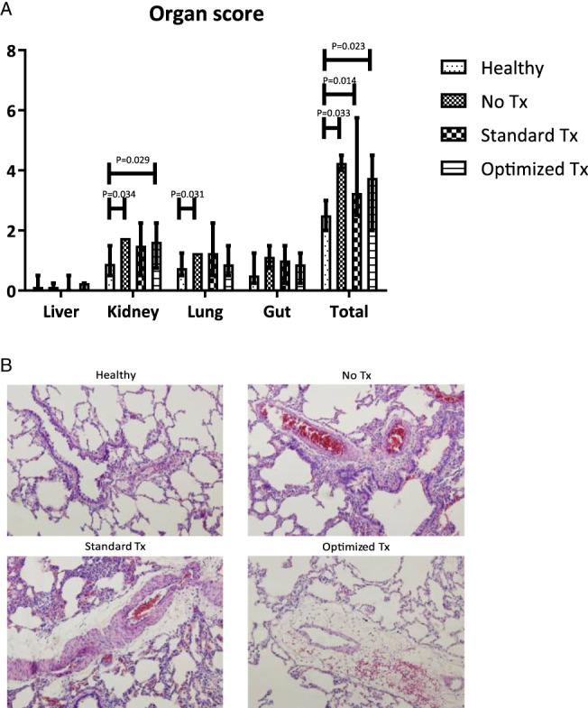 https://cdn.ncbi.nlm.nih.gov/pmc/blobs/90cc/7379301/65900f93f70a/TRF-59-134-g003.jpg