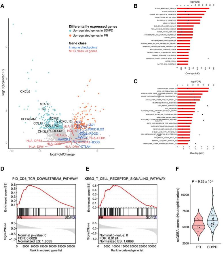 https://cdn.ncbi.nlm.nih.gov/pmc/blobs/90cf/8734300/56895984104a/13073_2021_995_Fig3_HTML.jpg