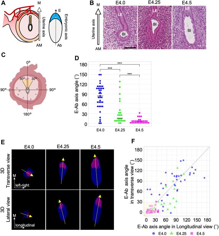 https://cdn.ncbi.nlm.nih.gov/pmc/blobs/90d1/11211524/3758d5eb45a3/fcell-12-1421222-g001.jpg