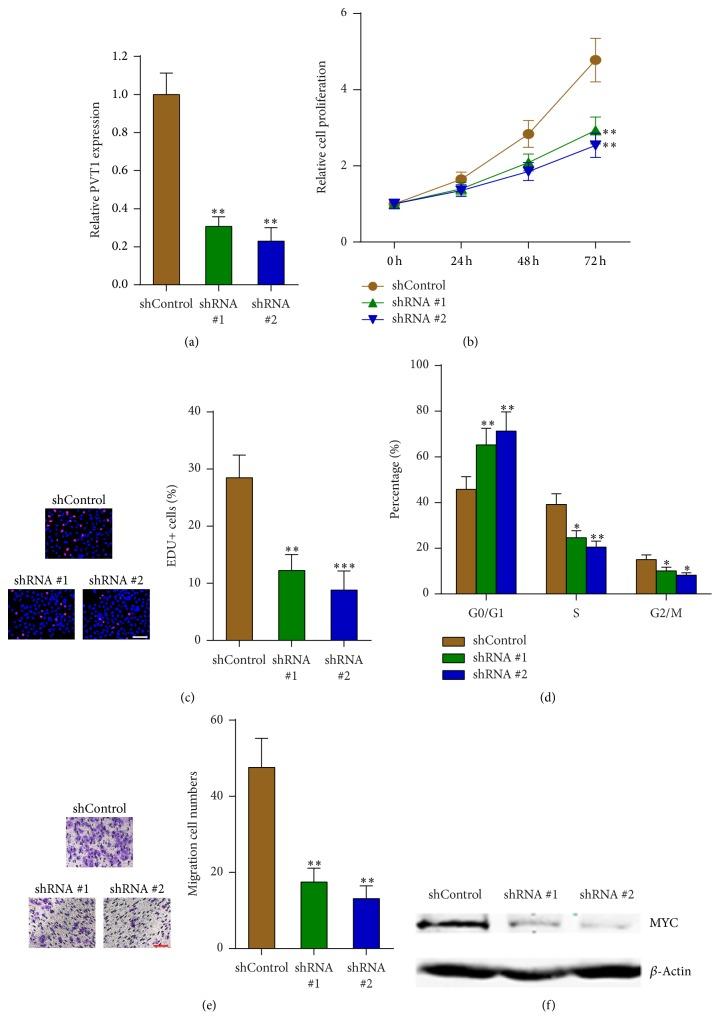https://cdn.ncbi.nlm.nih.gov/pmc/blobs/90d2/5318621/145cee618a3c/BMRI2017-7038579.005.jpg