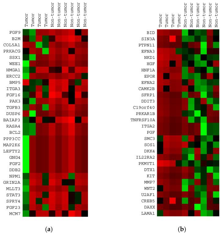 https://cdn.ncbi.nlm.nih.gov/pmc/blobs/90d5/8621072/cb1616f04a85/cells-10-03190-g002.jpg