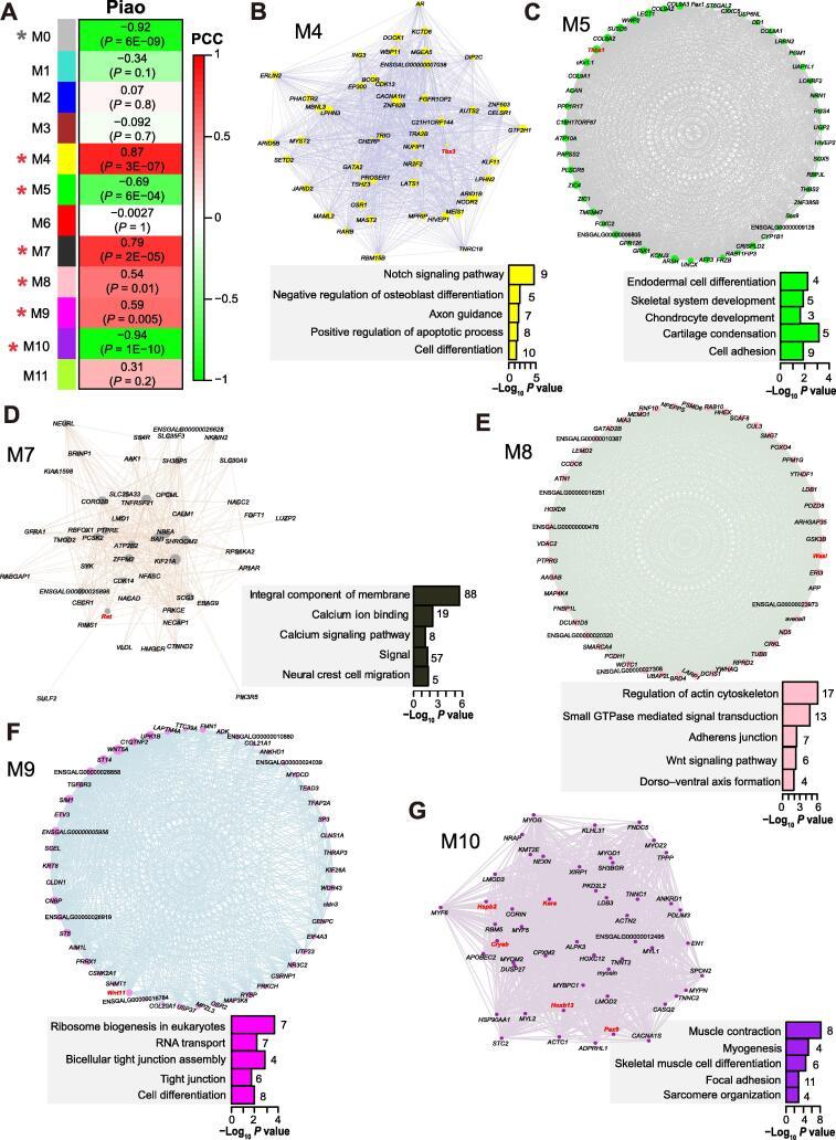 https://cdn.ncbi.nlm.nih.gov/pmc/blobs/90d5/9170765/546006af8dc6/gr3.jpg