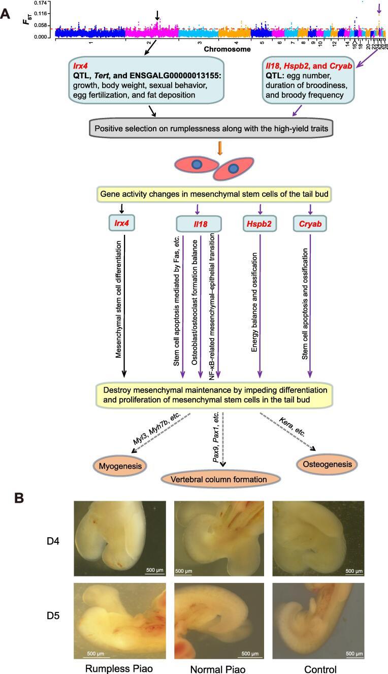 https://cdn.ncbi.nlm.nih.gov/pmc/blobs/90d5/9170765/b983f7cb6427/gr4.jpg