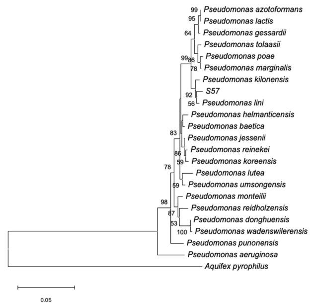 https://cdn.ncbi.nlm.nih.gov/pmc/blobs/90d6/8399624/9741ea3e67f4/plants-10-01531-g001.jpg