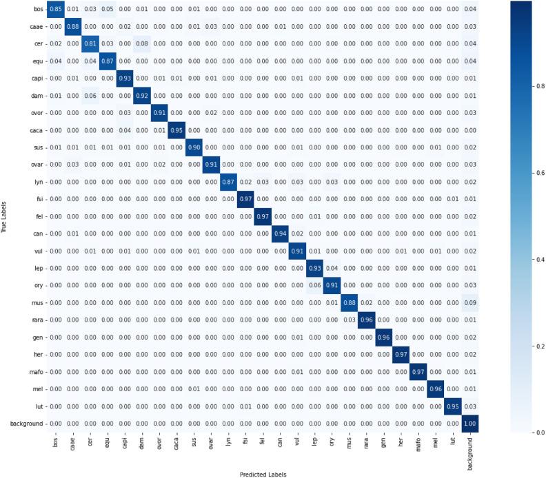 https://cdn.ncbi.nlm.nih.gov/pmc/blobs/90d7/12064792/415ea930dd16/41598_2025_90249_Fig5_HTML.jpg