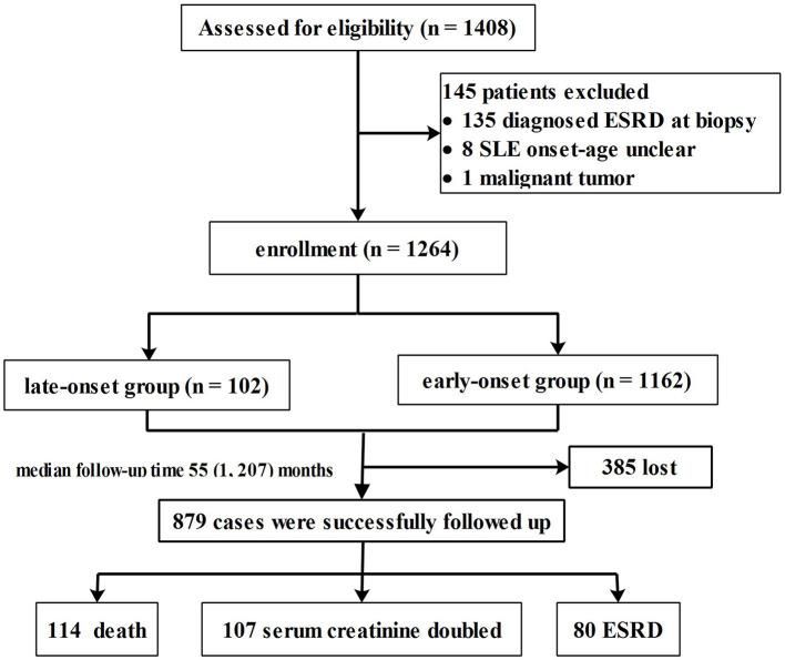 https://cdn.ncbi.nlm.nih.gov/pmc/blobs/90d7/9197116/1c9e6a07e8a0/fmed-09-882692-g0001.jpg