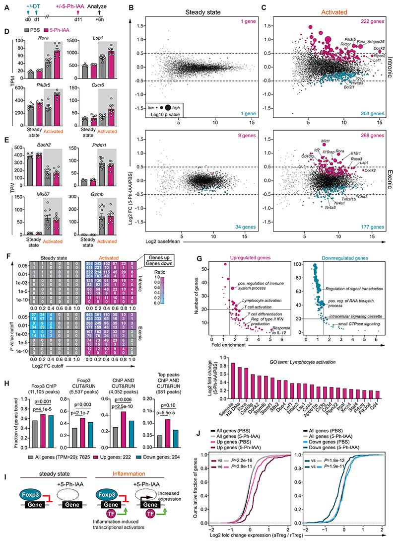 https://cdn.ncbi.nlm.nih.gov/pmc/blobs/90d8/7617780/433a37dae7b8/EMS206340-f004.jpg
