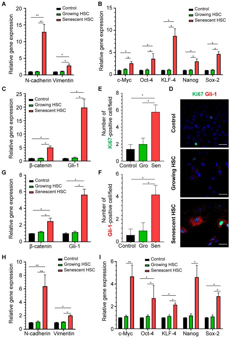 https://cdn.ncbi.nlm.nih.gov/pmc/blobs/90d9/10465212/56953282f2bd/thnov13p4430g007.jpg