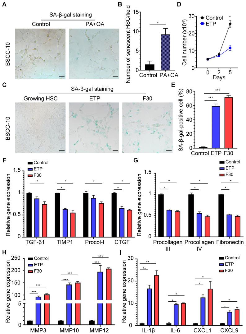 https://cdn.ncbi.nlm.nih.gov/pmc/blobs/90d9/10465212/9926d7ec8fdc/thnov13p4430g002.jpg