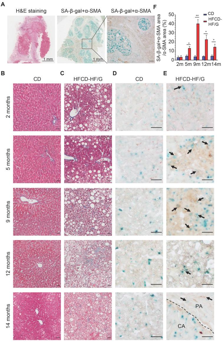 https://cdn.ncbi.nlm.nih.gov/pmc/blobs/90d9/10465212/c4eed63d0797/thnov13p4430g001.jpg