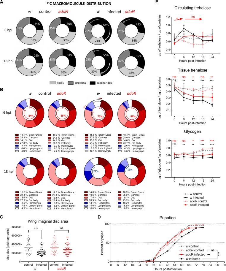 https://cdn.ncbi.nlm.nih.gov/pmc/blobs/90d9/4411001/395c170b0d0a/pbio.1002135.g005.jpg