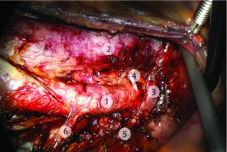 https://cdn.ncbi.nlm.nih.gov/pmc/blobs/90dc/6546154/d0e32d37bbe1/jls0201637770001.jpg