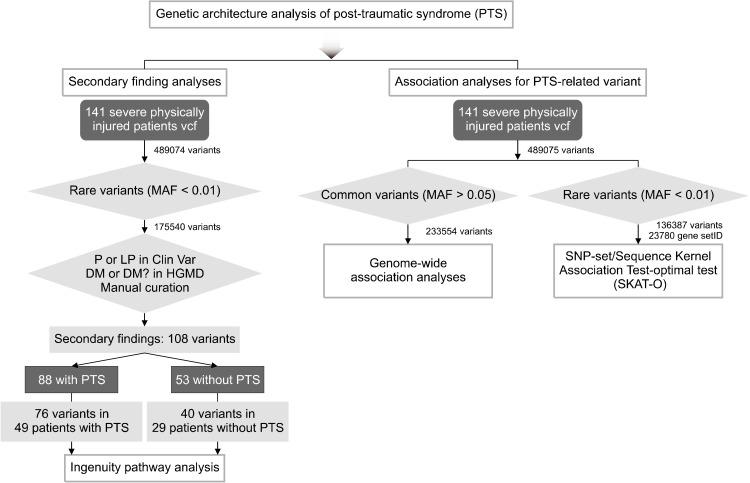 https://cdn.ncbi.nlm.nih.gov/pmc/blobs/90dd/8553524/66567144c722/cpn-19-4-683-f1.jpg