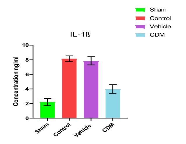 https://cdn.ncbi.nlm.nih.gov/pmc/blobs/90df/10994612/5a708787f6a5/JMedLife-16-1852-g005.jpg
