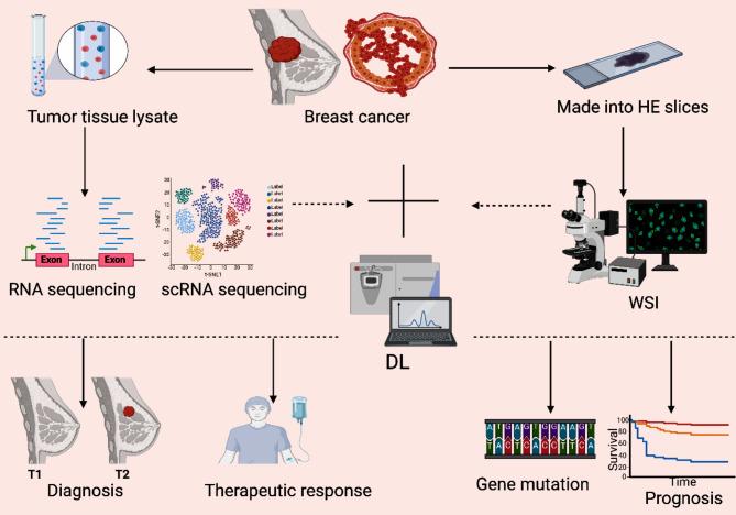 https://cdn.ncbi.nlm.nih.gov/pmc/blobs/90df/11416021/d87b3cb451d5/13058_2024_1895_Fig2_HTML.jpg