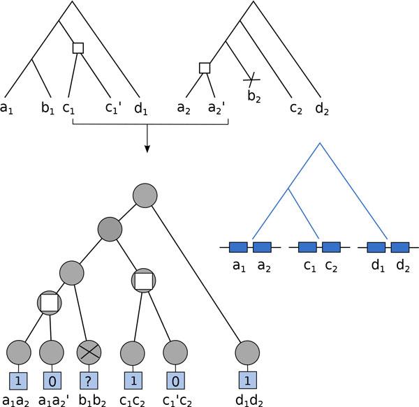 https://cdn.ncbi.nlm.nih.gov/pmc/blobs/90df/4603630/bc3d0aa874a7/1471-2105-16-S14-S5-2.jpg