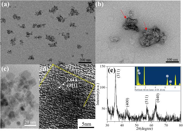 https://cdn.ncbi.nlm.nih.gov/pmc/blobs/90e0/9367122/1599dc646439/12951_2022_1575_Fig1_HTML.jpg