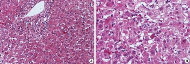 https://cdn.ncbi.nlm.nih.gov/pmc/blobs/90e1/2826749/364103798858/jkms-25-492-g002.jpg