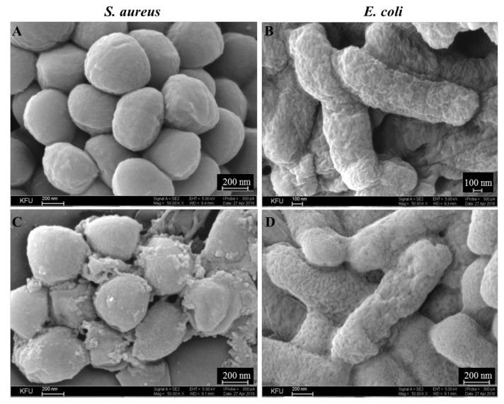https://cdn.ncbi.nlm.nih.gov/pmc/blobs/90e2/7570726/9aaaf1434074/molecules-25-04341-g006.jpg