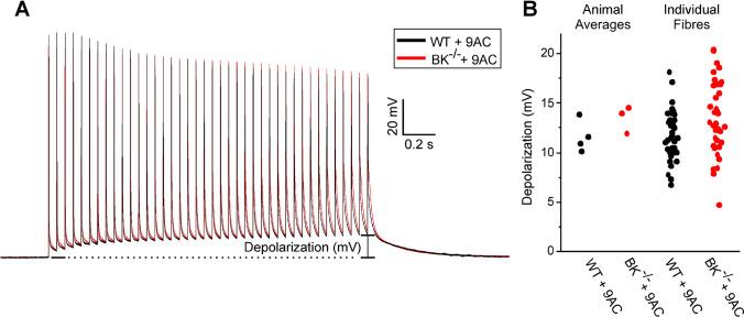 https://cdn.ncbi.nlm.nih.gov/pmc/blobs/90e3/11461784/2f941ea6c8c4/424_2024_3005_Fig3_HTML.jpg