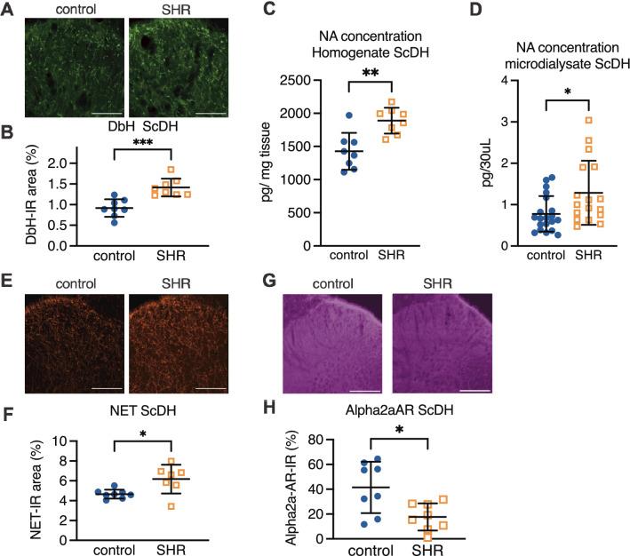 https://cdn.ncbi.nlm.nih.gov/pmc/blobs/90e5/10073110/f5c4b0b9f923/41598_2023_32512_Fig2_HTML.jpg