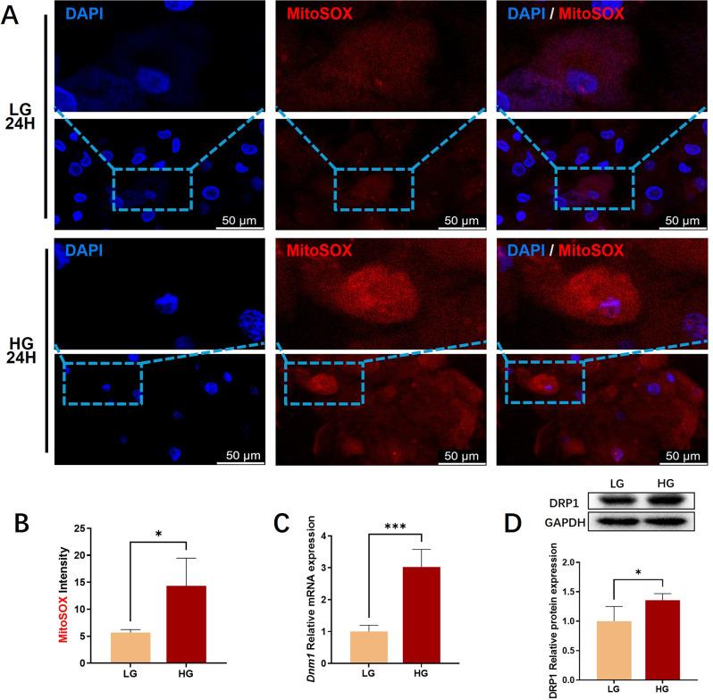 https://cdn.ncbi.nlm.nih.gov/pmc/blobs/90e5/11998213/b6aa25c02be5/12903_2025_5938_Fig2_HTML.jpg