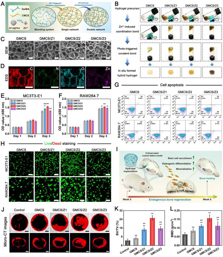 https://cdn.ncbi.nlm.nih.gov/pmc/blobs/90e9/11234279/593cd561af29/thnov14p4014g003.jpg