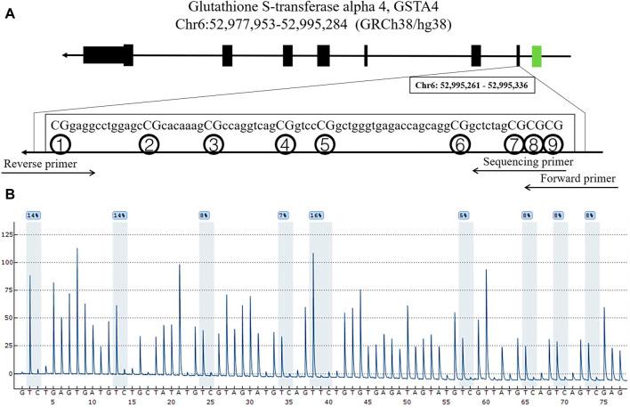 https://cdn.ncbi.nlm.nih.gov/pmc/blobs/90ea/9868450/90e837088cb5/fgene-13-1079455-g001.jpg