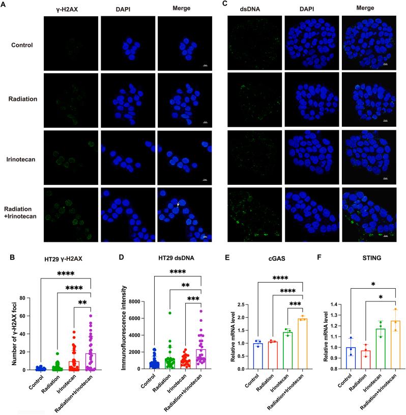 https://cdn.ncbi.nlm.nih.gov/pmc/blobs/90eb/10540048/5cc0cfcccb66/gr2a.jpg