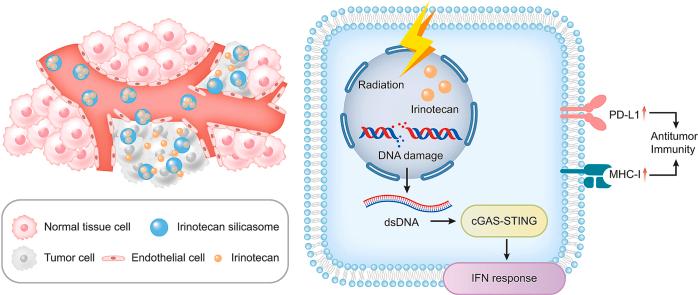 https://cdn.ncbi.nlm.nih.gov/pmc/blobs/90eb/10540048/7551402f2b0e/ga1.jpg