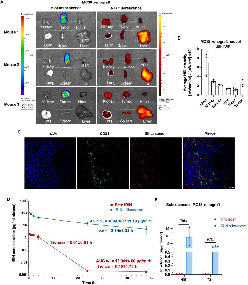 https://cdn.ncbi.nlm.nih.gov/pmc/blobs/90eb/10540048/7abb04f7fa83/gr5a.jpg