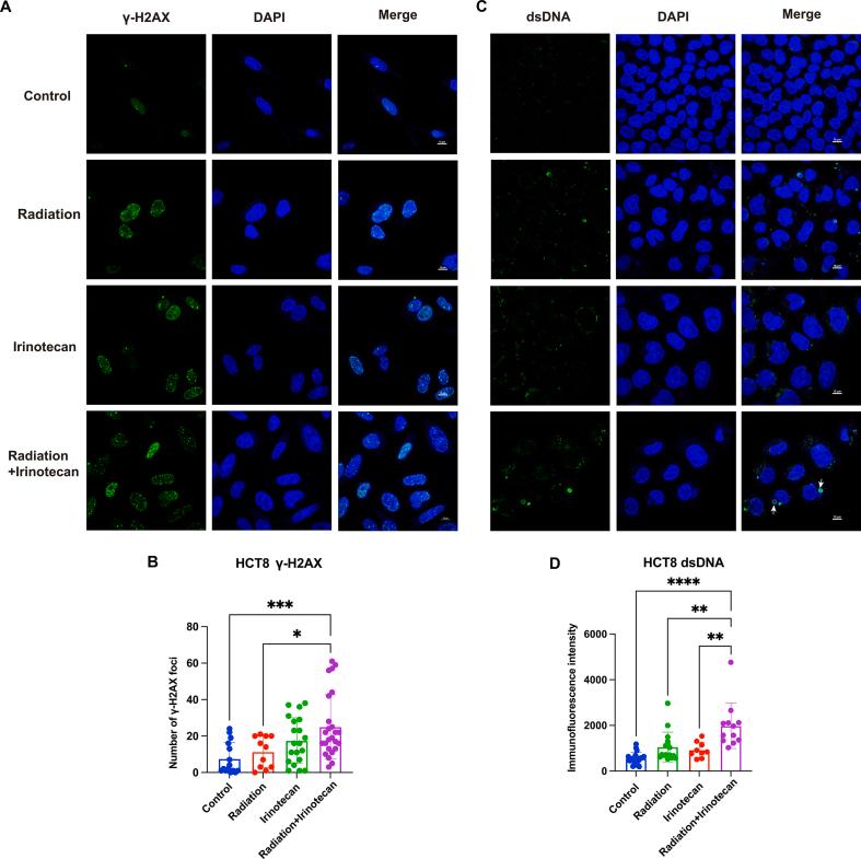 https://cdn.ncbi.nlm.nih.gov/pmc/blobs/90eb/10540048/88a93e1f86cd/mmcfigs1.jpg