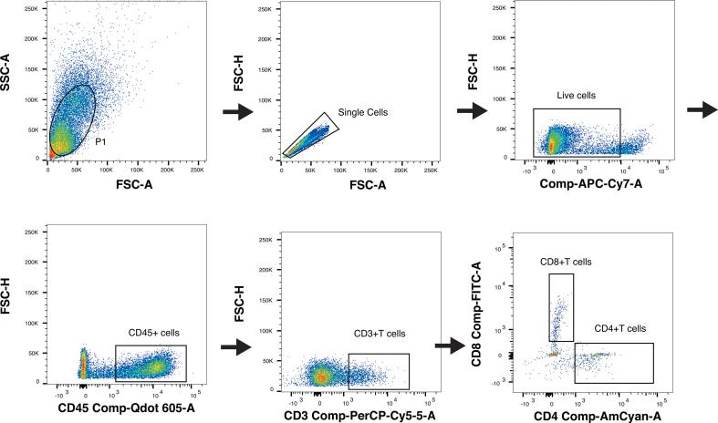 https://cdn.ncbi.nlm.nih.gov/pmc/blobs/90eb/10540048/b4012d313320/mmcfigs4.jpg