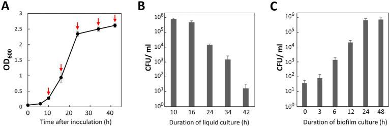 https://cdn.ncbi.nlm.nih.gov/pmc/blobs/90eb/11532111/42a98d4d8ff4/fmicb-15-1476171-g003.jpg
