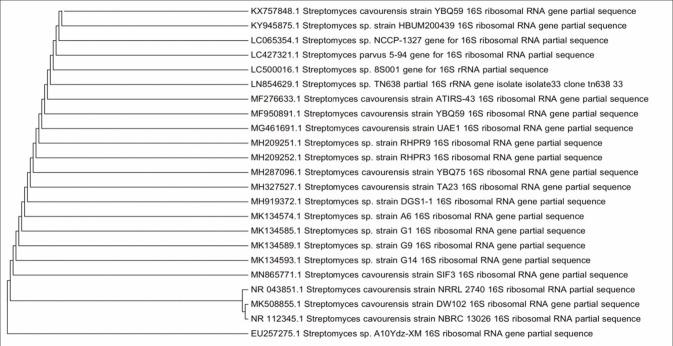 https://cdn.ncbi.nlm.nih.gov/pmc/blobs/90eb/7909053/bcb7f2d5f200/JPBS-12-462-g001.jpg